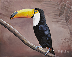 toucan-1